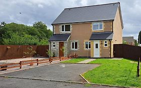 Elm Grove